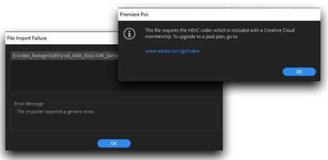 Image result for Premiere Pro Crack Pour Mac