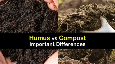 Toradh íomhá ar Humus vs Compost