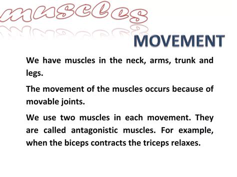 Muscles and Movement に対する画像結果