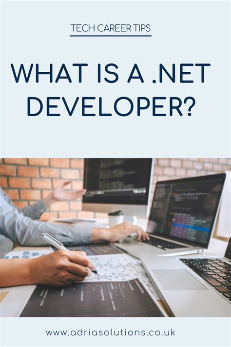 Toradh íomhá ar What Is a Net Developer