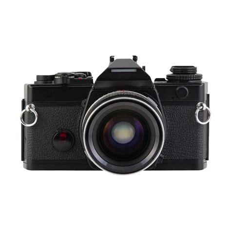 User without Background に対する画像結果