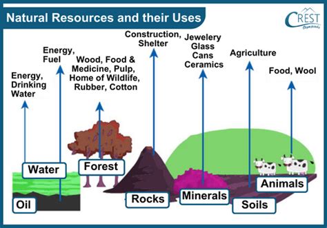 Image result for Examples of Natural Resources
