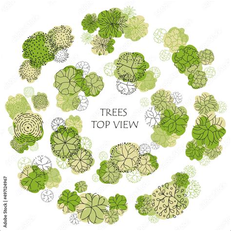 Image result for TreePlan Vector