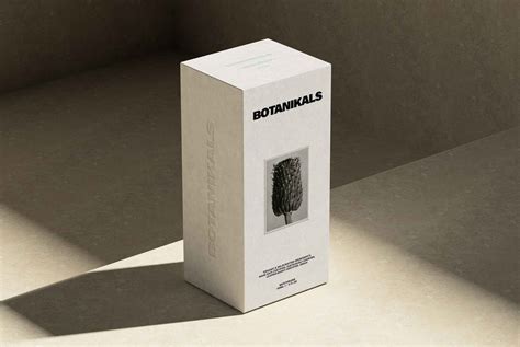 Packaging Mock Up Render に対する画像結果