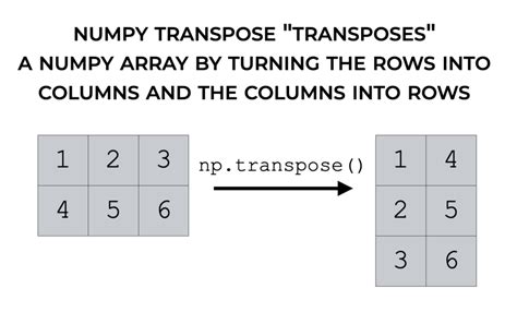 Toradh íomhá ar Contoh Numpy Python Matrix Transpose