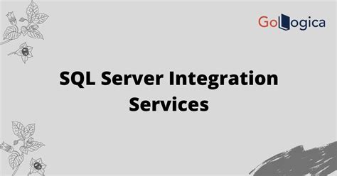 Image result for SQL Server Integration Services Example