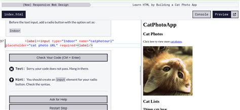 Image result for Free Code Camp Projects