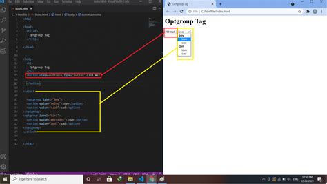 Image result for Option Group HTML