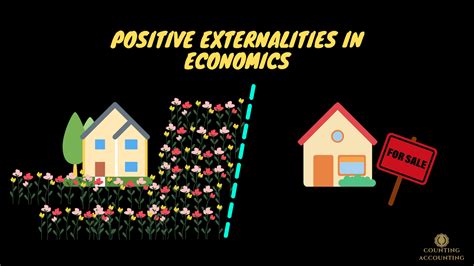 Image result for Positive Externality Example