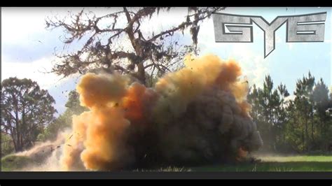 Image result for Trees Exploding Scene