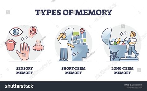 Types of Short-Term Memory に対する画像結果