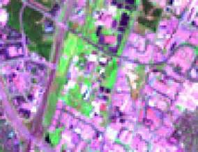 Image result for Nearest Neighbor Sampling Remote Sensing