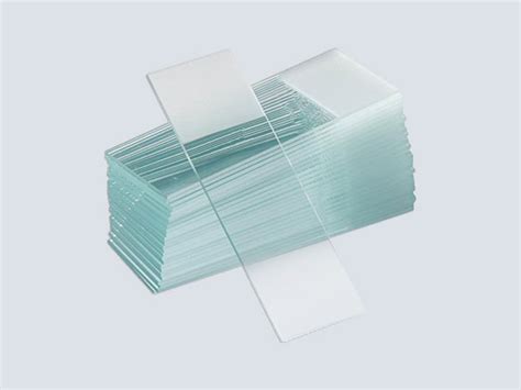 Image result for Microscope Slides