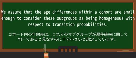 Homogeneous Test に対する画像結果