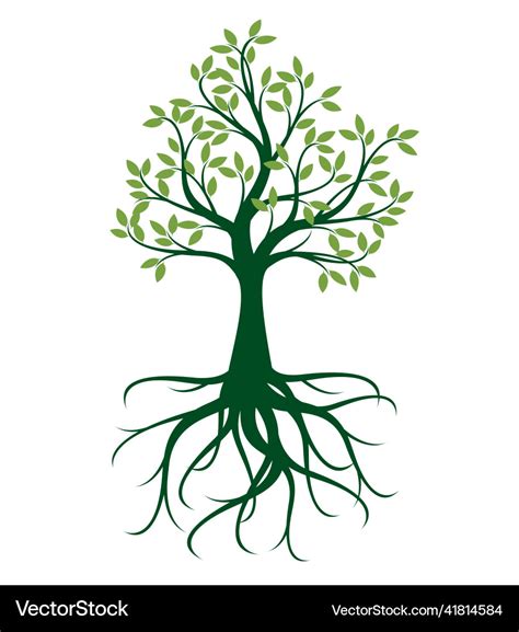 Image result for Free Green Tree Vector