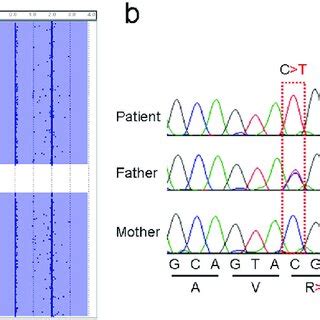 Image result for Microarray Genetic Testing