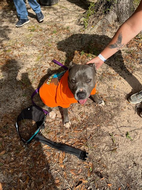 Mud Races in Milton Florida に対する画像結果