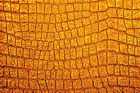 Image result for Brilliant Python