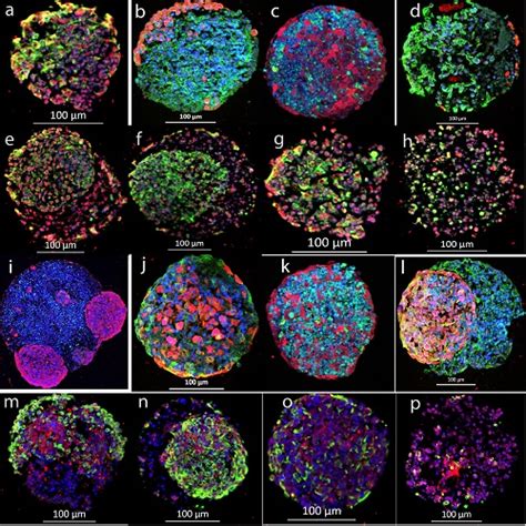 Image result for 3D Microarray