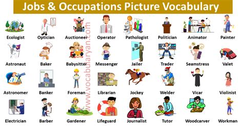 Image result for Job Occupations Examples