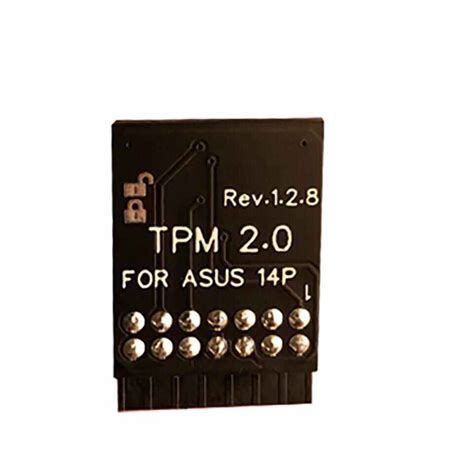 Image result for Asus TPM 2.0 Module