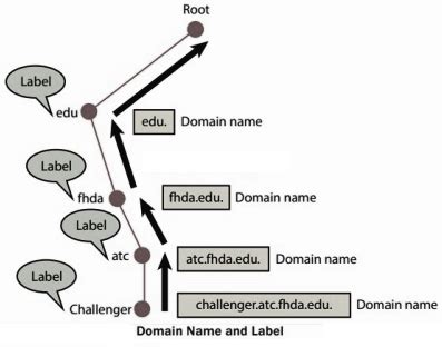 Image result for Domain Name Space Diagram