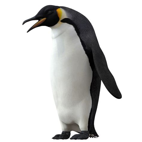 JavaFX Penguin に対する画像結果