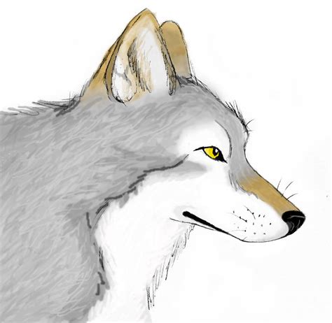 Afbeeldingsresultaten voor Timber Wolf Drawing