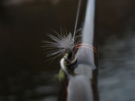 Image result for What Is Tippet for in Fly Fishing