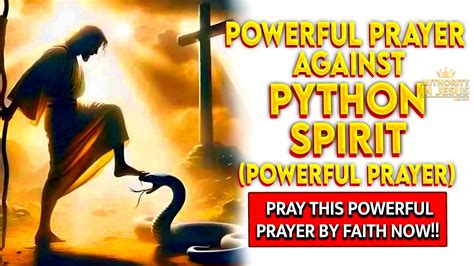 Python Demon に対する画像結果