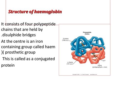 Image result for Hemoglobin Structure and Function