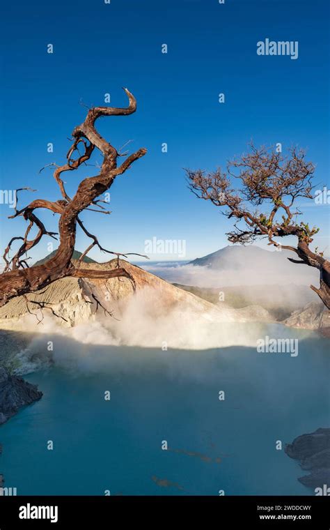 Image result for Mont Ijen Java