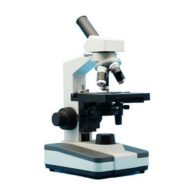 Toradh íomhá ar Compound Microscope Example