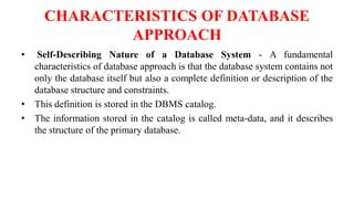 Image result for Characteristics Of The Database Approach