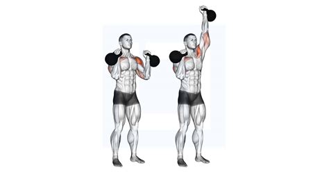 Image result for Seated Alternating Overhead Press