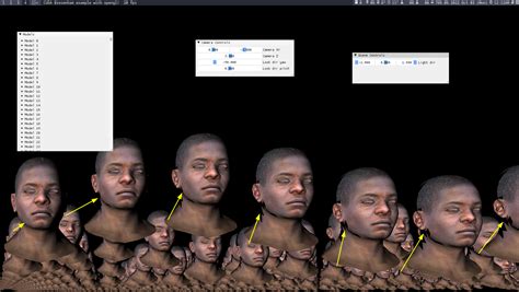 Toradh íomhá ar Back Culling