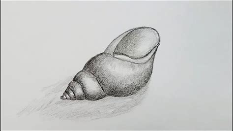 How to Draw a Shell に対する画像結果