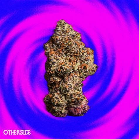 Normal Map Cake Cream എന്നതിനുള്ള ഇമേജ് ഫലം