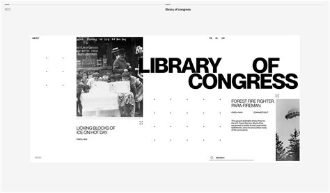 Random Web Link Design に対する画像結果