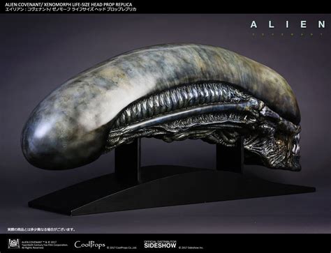 Alien Covenant Xenomorph Chase に対する画像結果