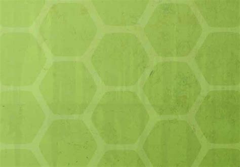 Toradh íomhá ar Light Green Shell Pattern Background