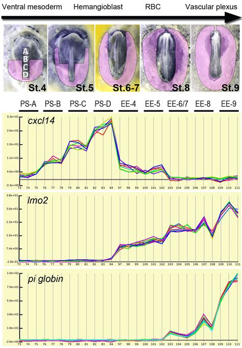 Résultat d’images pour Chicken Transcriptome