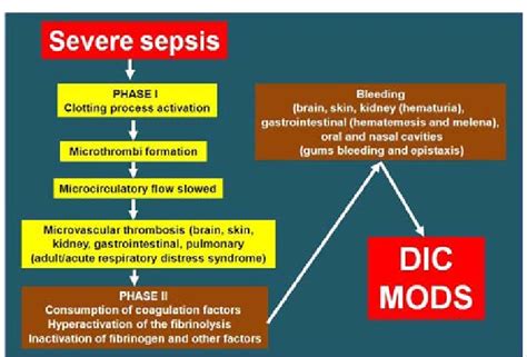 Pathogenetic evolution of severe sepsis in Disseminated Intravascular ...