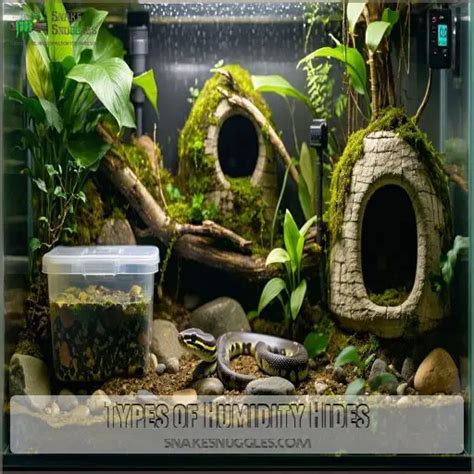 Ball Python Hide in Tank に対する画像結果