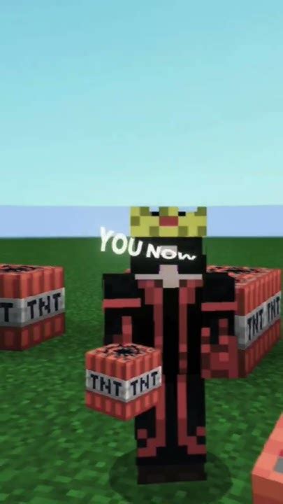 Apt Minecraft に対する画像結果