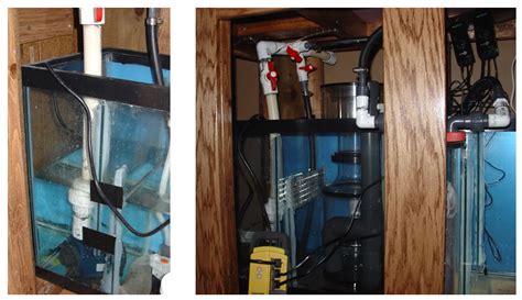 Image result for Reef Tank Sump Plumbing