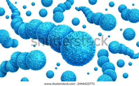 Image result for Strep Gram-positive