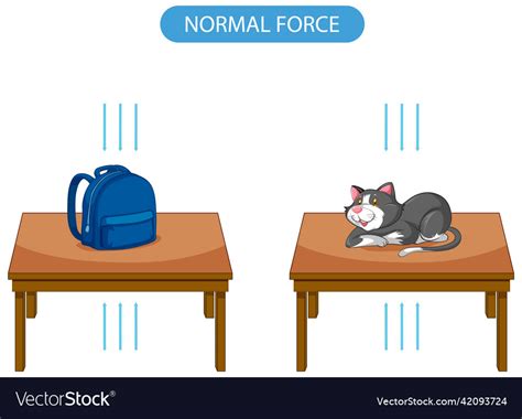 Image result for Normal Force