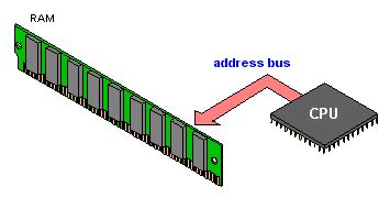 Image result for Address Bus