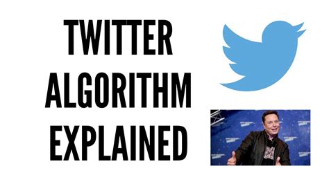 Image result for Algorithm Confirmation Bias On Twitter
